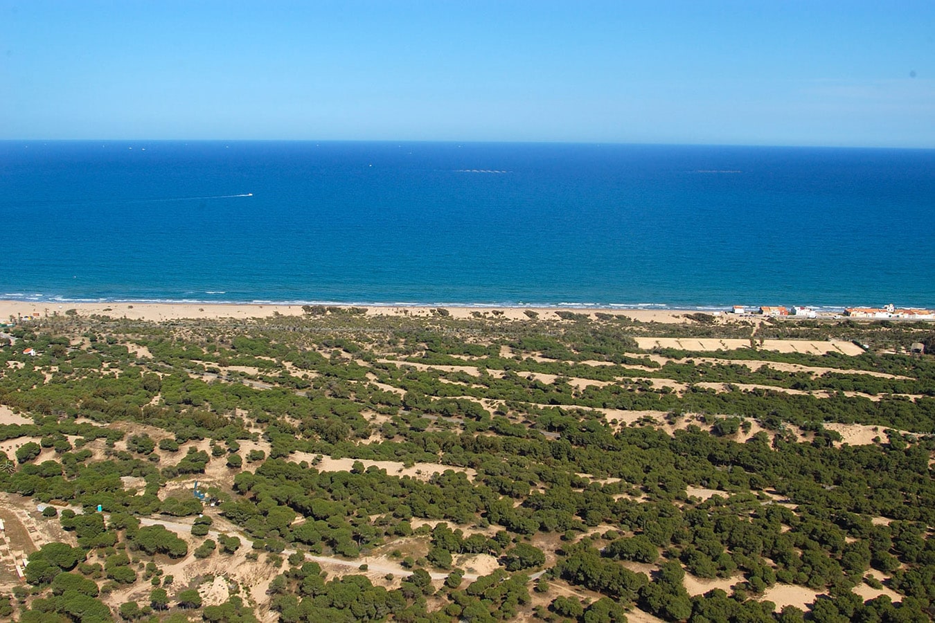 Aerial view of Guardamar beach, Costa Blanca, Spain.