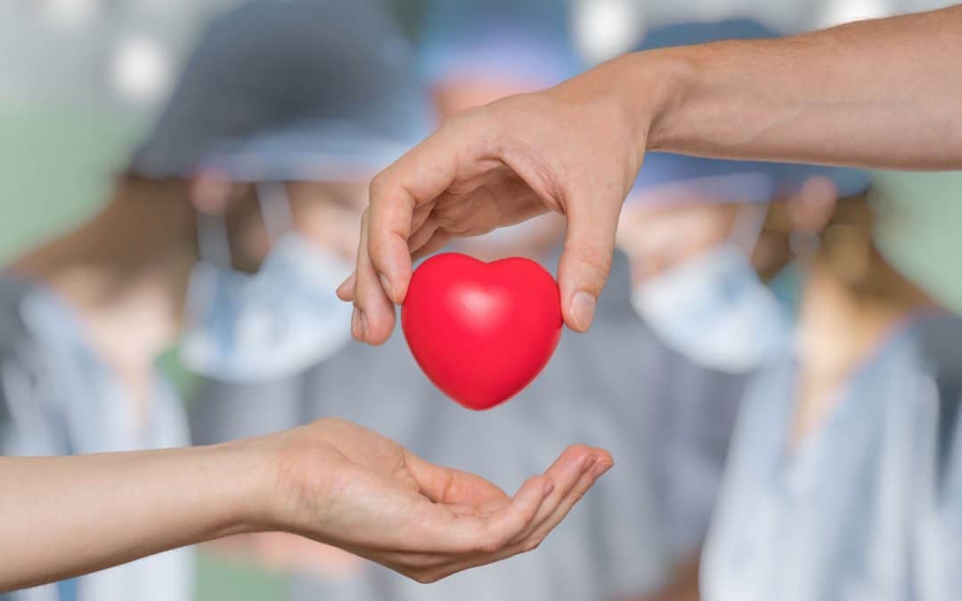 España, líder mundial en donación y trasplante de órganos