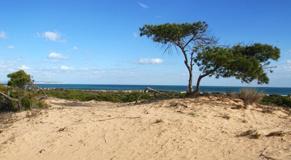 5 Increíbles playas en Guardamar. ¡Visítalas!