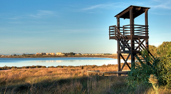 4 Free Guided Tours in La Mata Natural Park